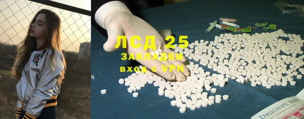 ГАЛЛЮЦИНОГЕННЫЕ ГРИБЫ Алзамай
