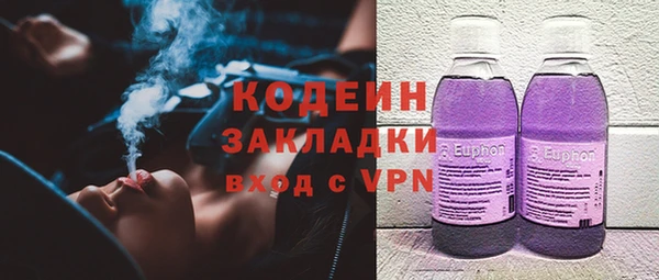 ГАЛЛЮЦИНОГЕННЫЕ ГРИБЫ Алзамай