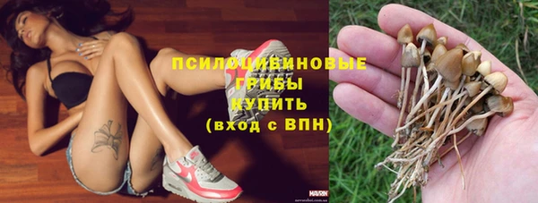 прущие грибы Алексеевка