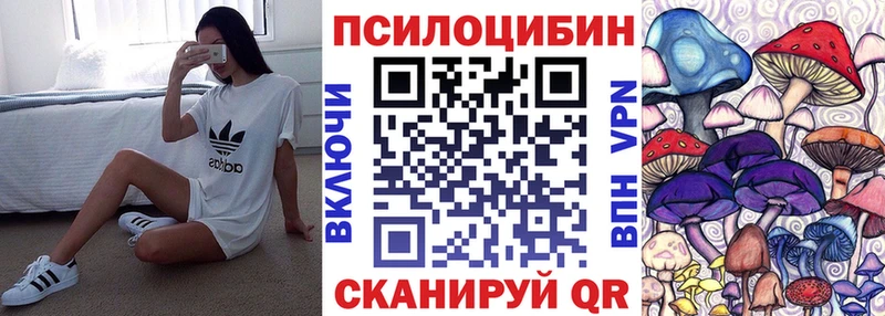 Псилоцибиновые грибы Psilocybe  Урюпинск 